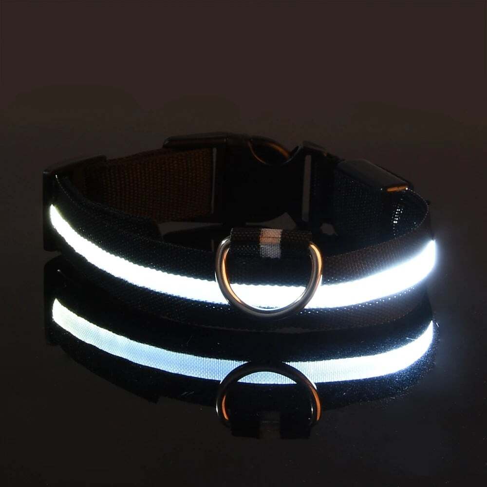 Nylon LED Night Safety Flashing Glow in the Dark Dog Leash Dogs Luminous Fluores